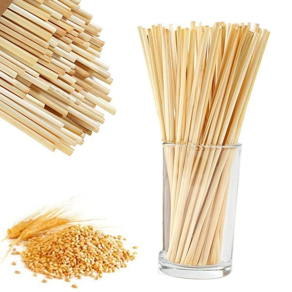 Eco friendly Biodegradable Drinking Straws - Pack of 100