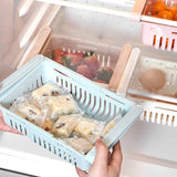Refrigerator Container Shelf