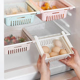 Refrigerator Container Shelf